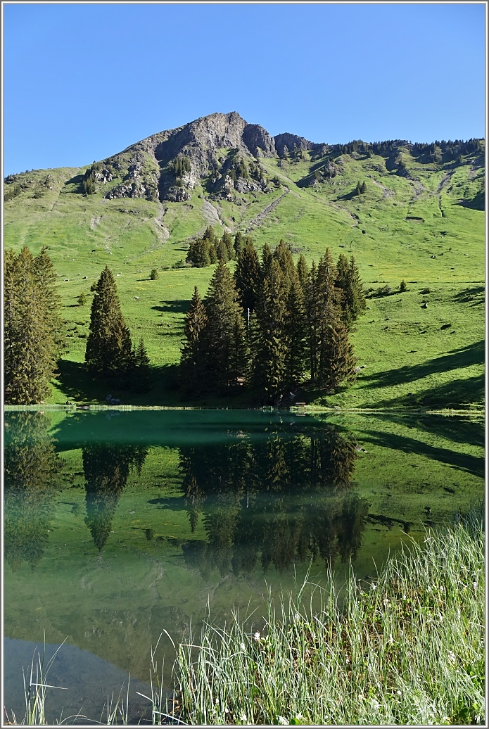 Frühsommerliche Morgenstimmumg am Lac Retaud.
(22.06.2016)