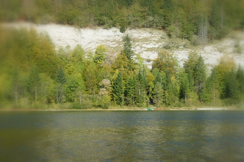Im Vall�e de Joux.
(Oktober 2009)