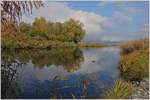 Herbst am Grande-Canal  (26.10.2018)