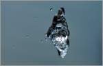Wasser springt durch die Luft  (29.03.2011)