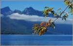 Es wird langsam herbstlich am Genfersee.