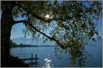 Herbststimmung am Genfersee.