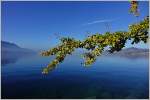 Herbststimmung am 01.November 2014