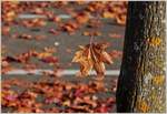 Im freien Fall...
