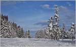 Sonne und Schnee - so schön kann Winter sein  (14.12.2020)